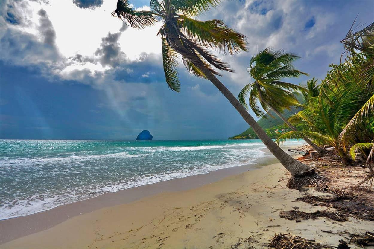 Malilia Beach A Sainte-Anne - Wifi -5 Min A Pied De La Plage Luaran gambar